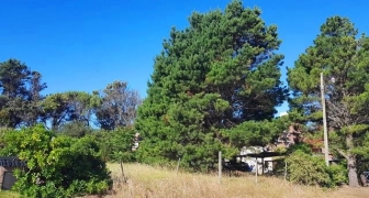 HERMOSO LOTE MULTIFAMILIAR A 100 M DEL MAR Y DE CARILO