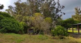 LOTE CERCANO A CARILO